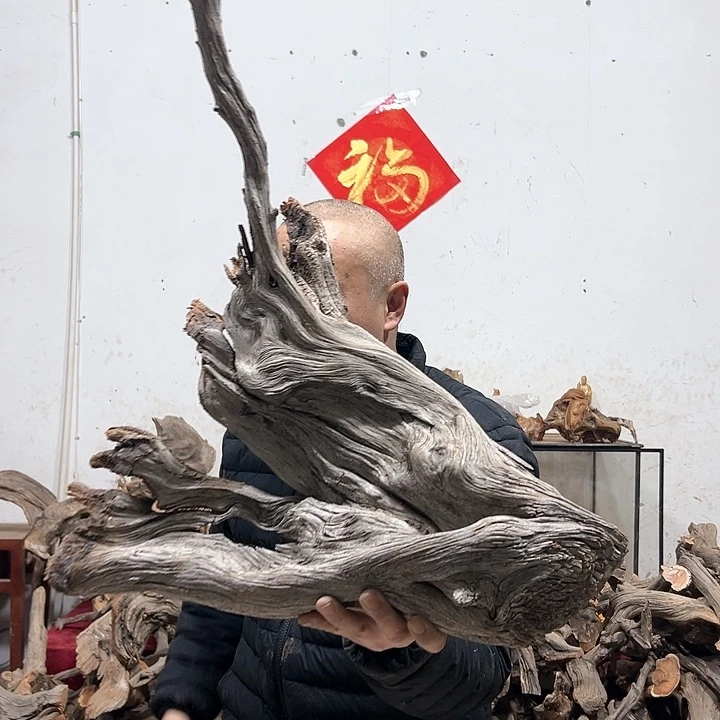 柏木寒****道我们的生活也是如此