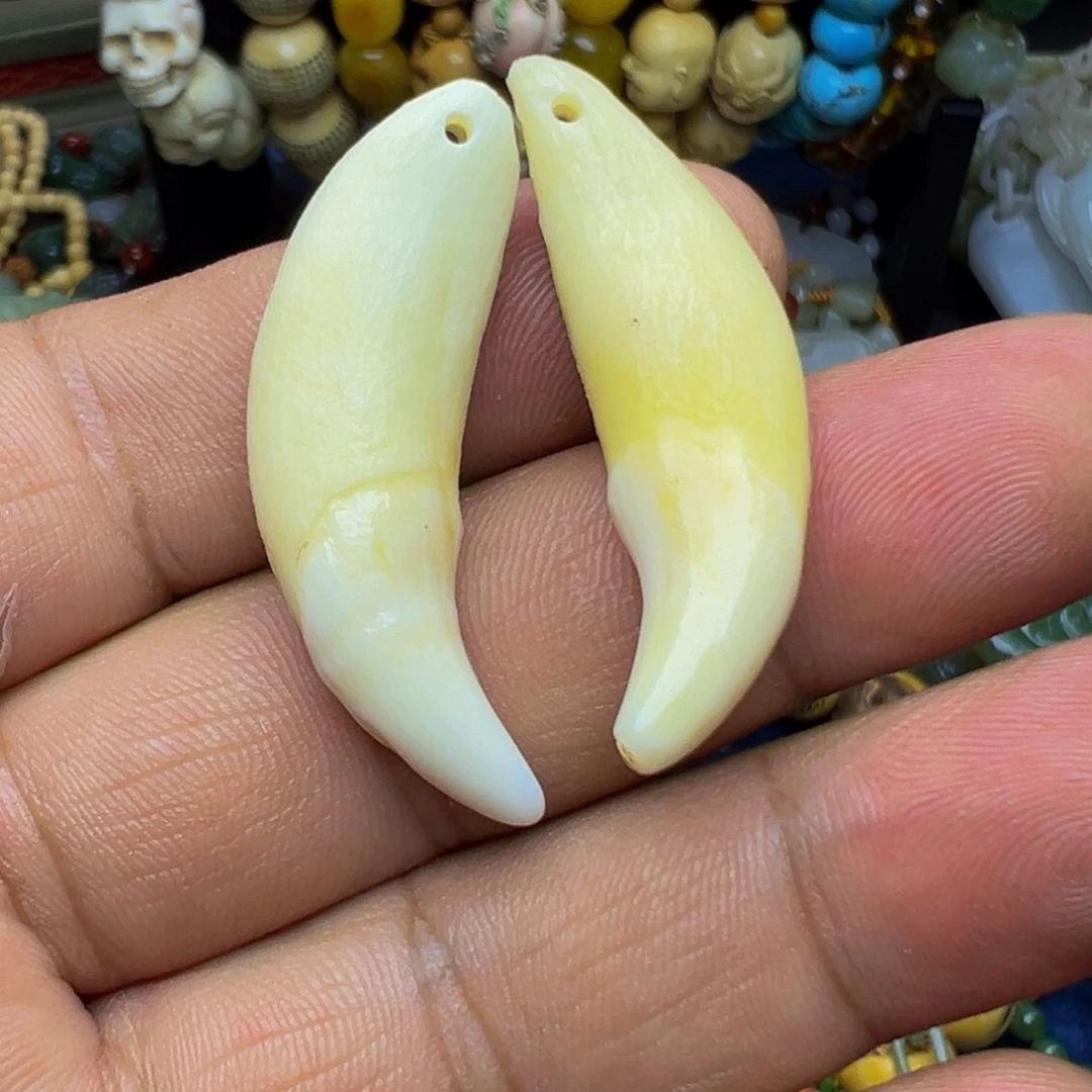 狗牙手串/手链88877899990099