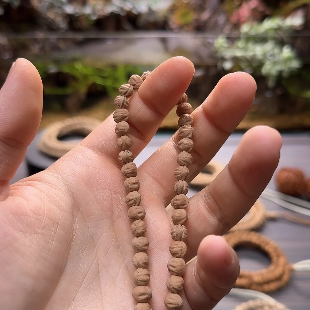 柏香籽/百香籽吊坠用****2
