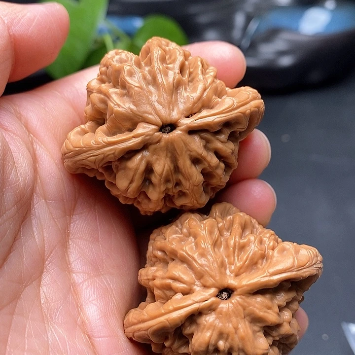 把件文玩核桃老树金公子46尺