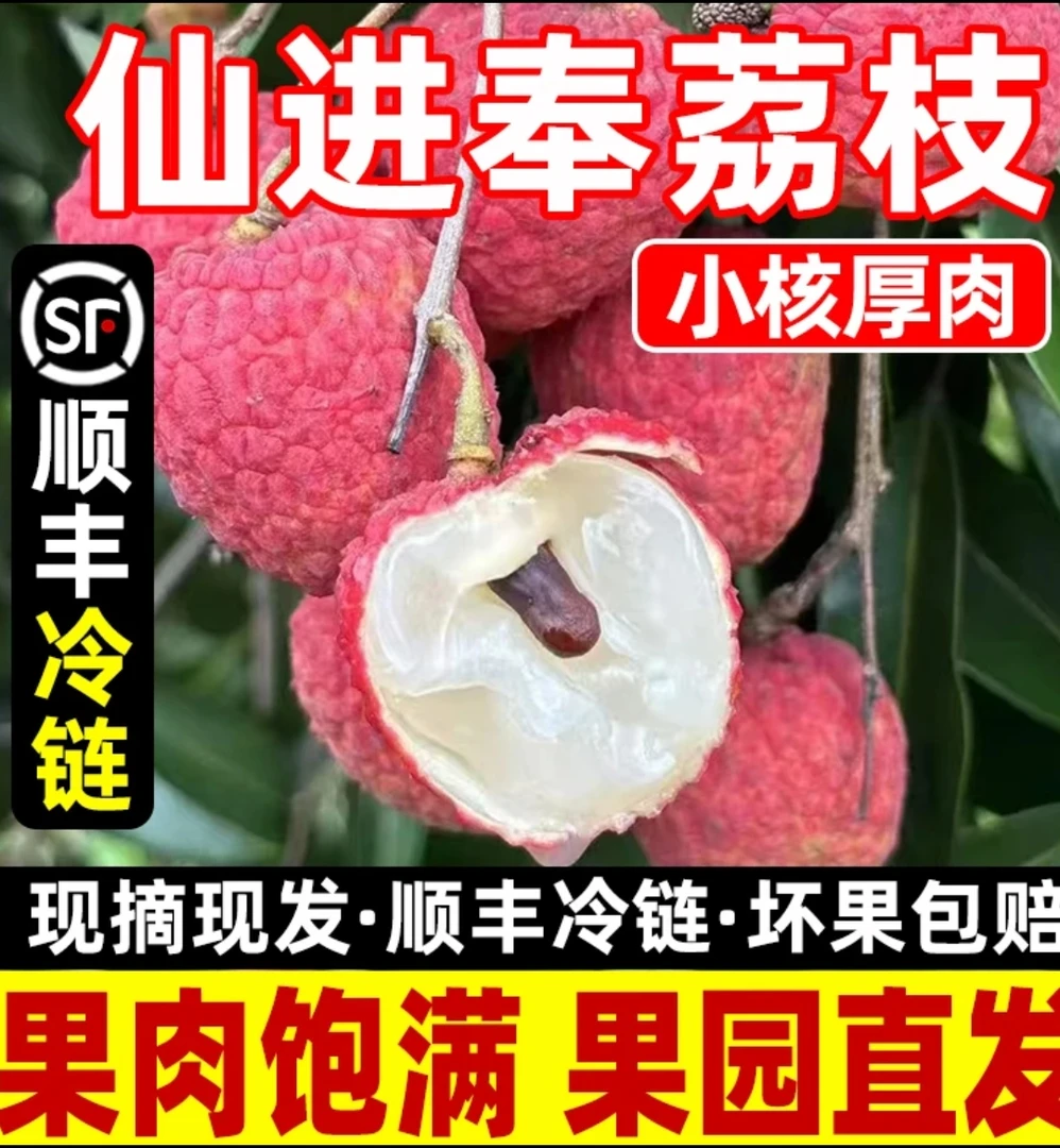 【仙进奉顺丰冷链*】广东增城从化荔枝鲜嫩多汁【85%地区隔日达】