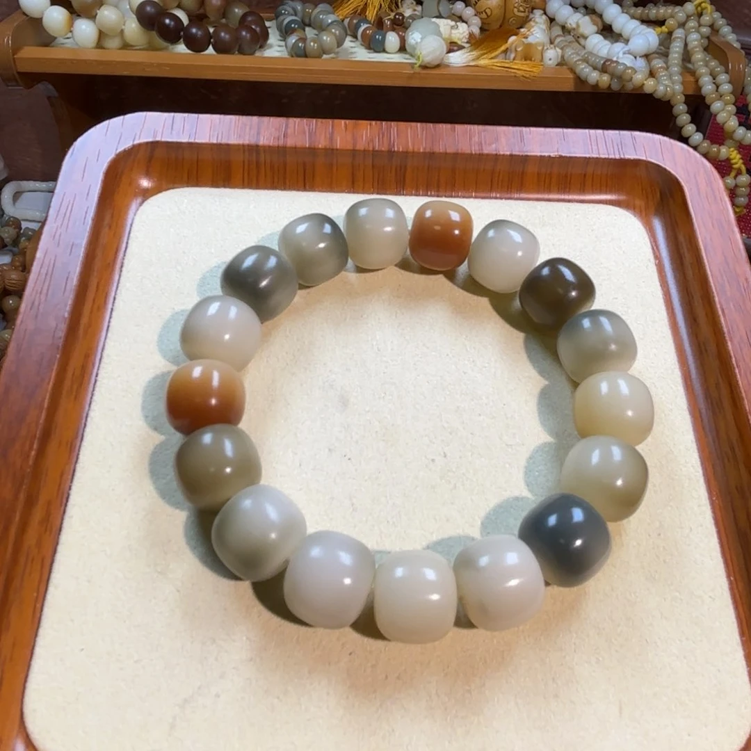 菩提根/象牙果吊坠14桶