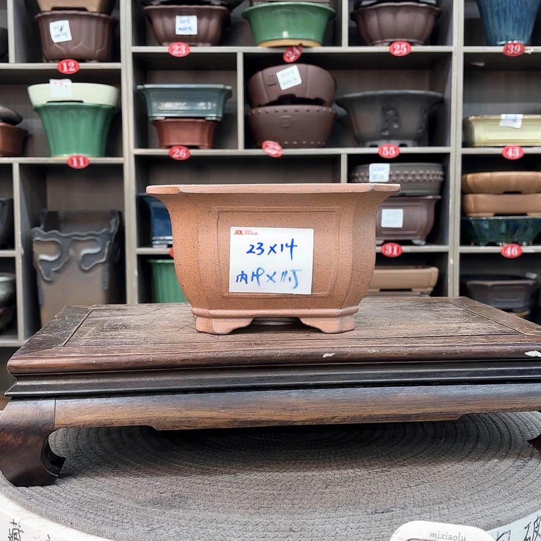 紫砂花盆紫砂的花也太