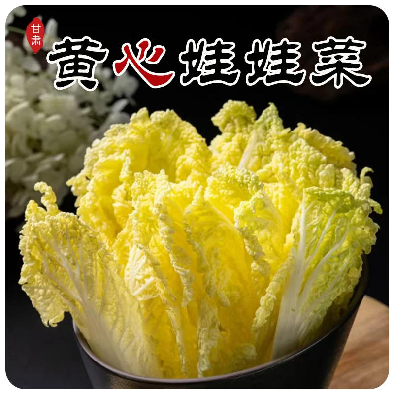 2025现挖娃娃菜新鲜现挖现发新鲜娃娃菜白菜黄心娃娃菜现摘现发