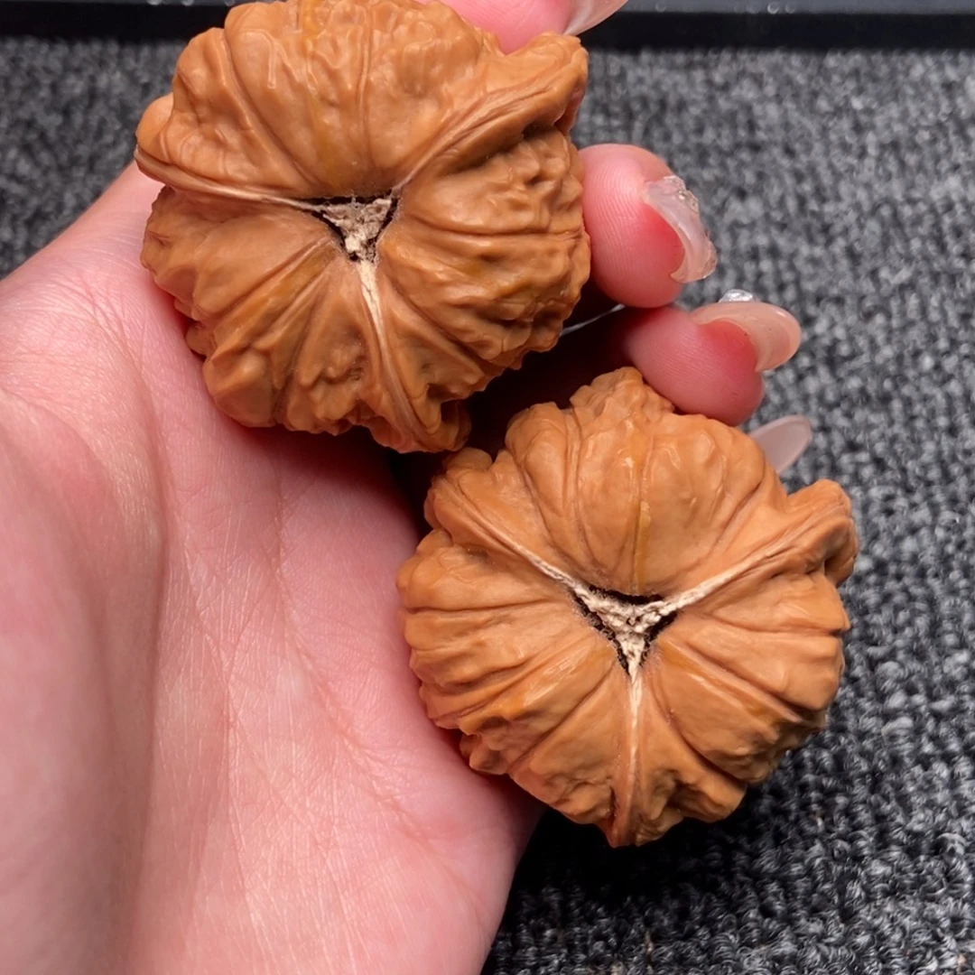 ****陳木质类南瓜墩正奔