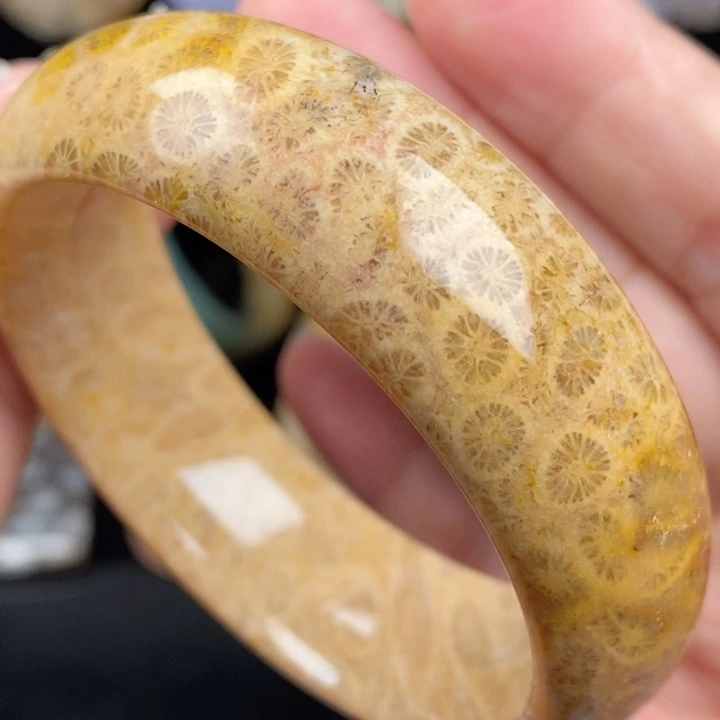 未镶嵌手镯（圆镯）硅化玉56
