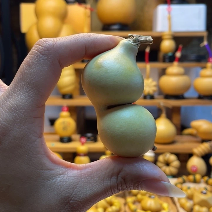 *****天然葫芦自然生长