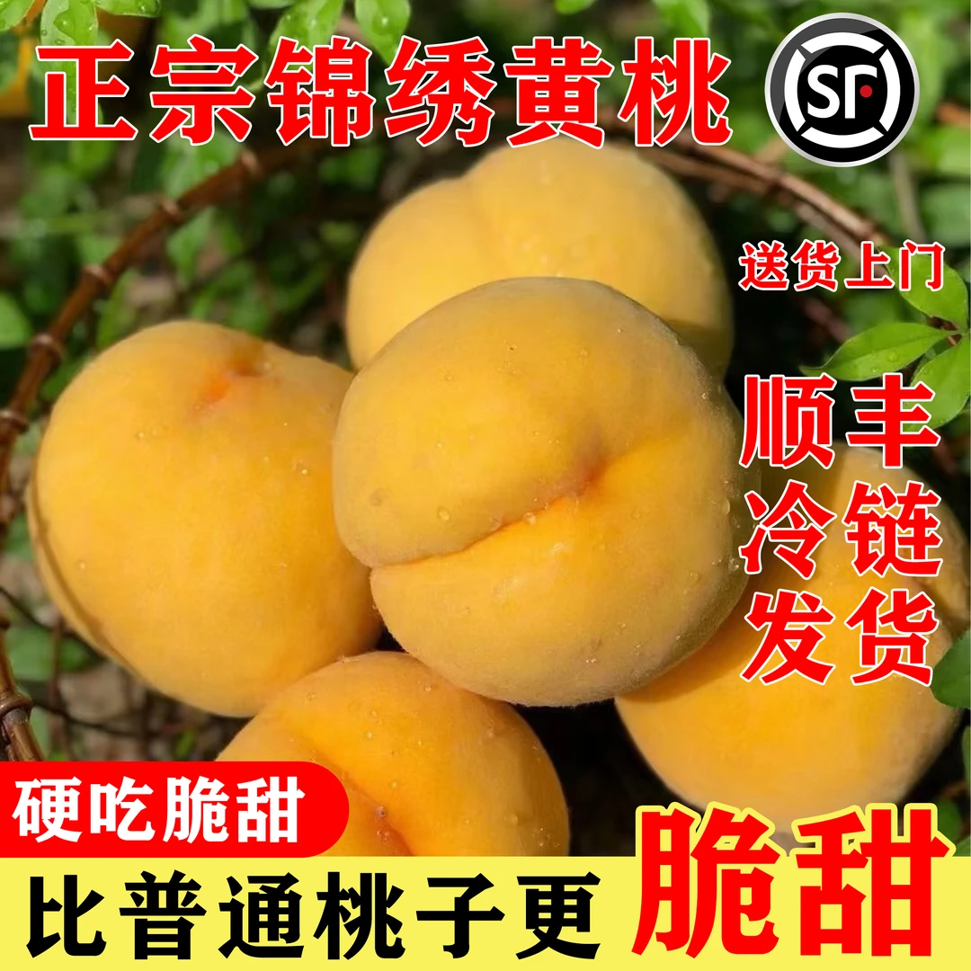 【梦大仙专属】正宗石板溪村锦绣黄桃原产地顺丰直发新鲜现摘
