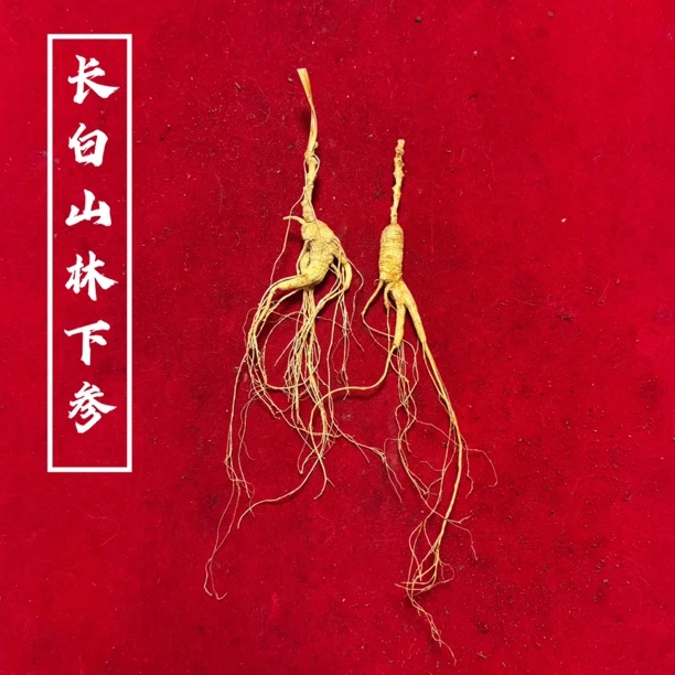 【阿俊家】长白山林下参 两支干参 一批货随机挑选