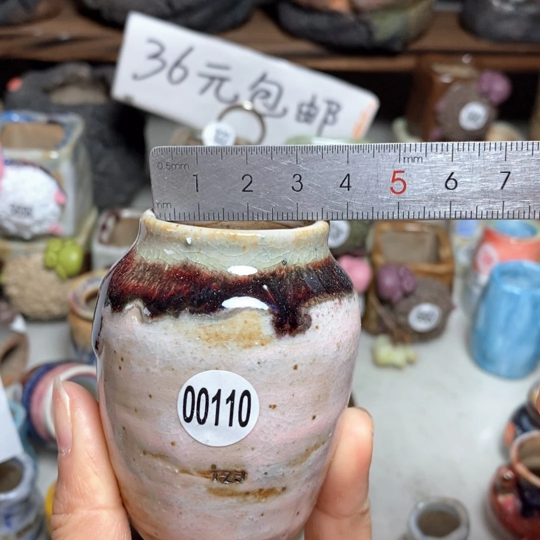 拍5送一个小礼物