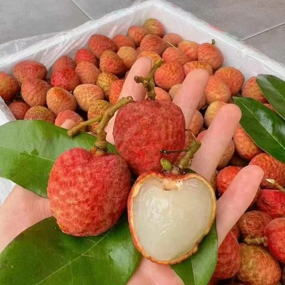 妃子笑荔枝1斤/份广西壮族自治区