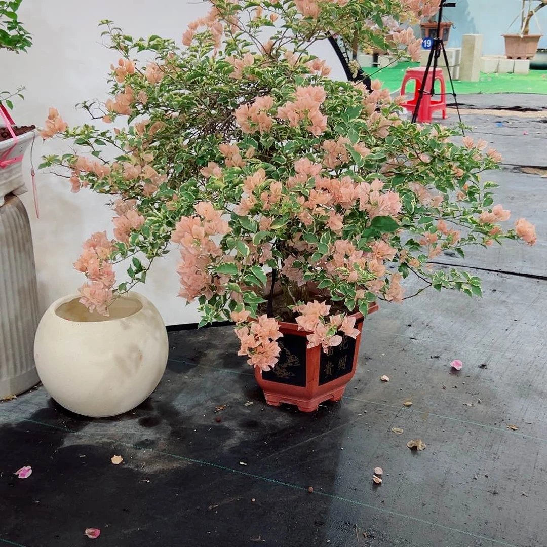 听***讲完全开放三2222222