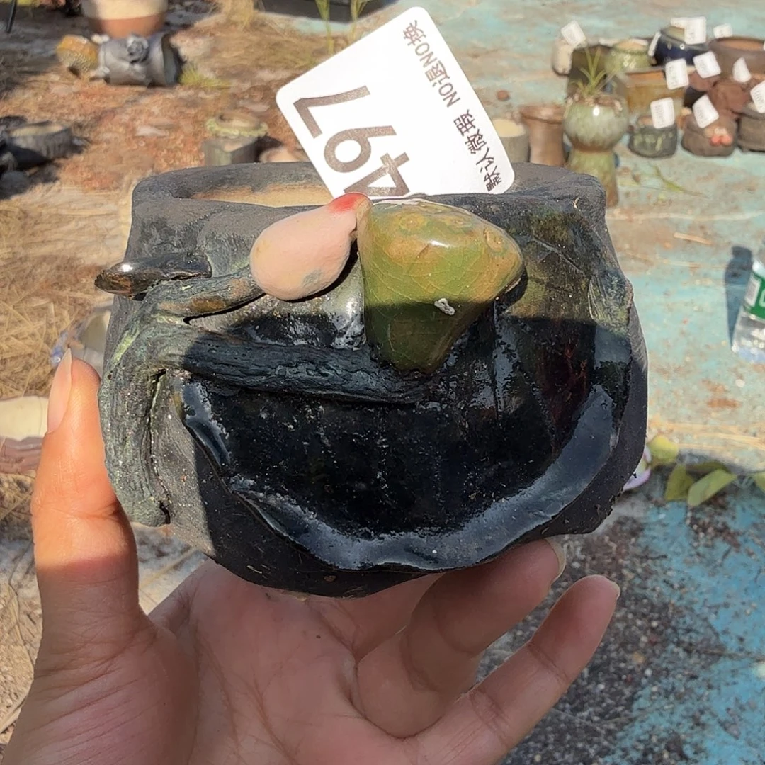 重庆小燕子欢迎大家497