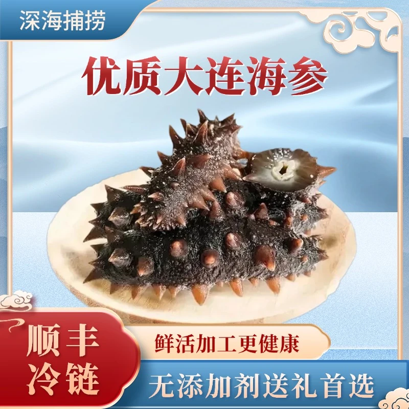 （买30头送20头）【大连发货】鲜食海参蒸制大连深海辽刺参口感Q弹