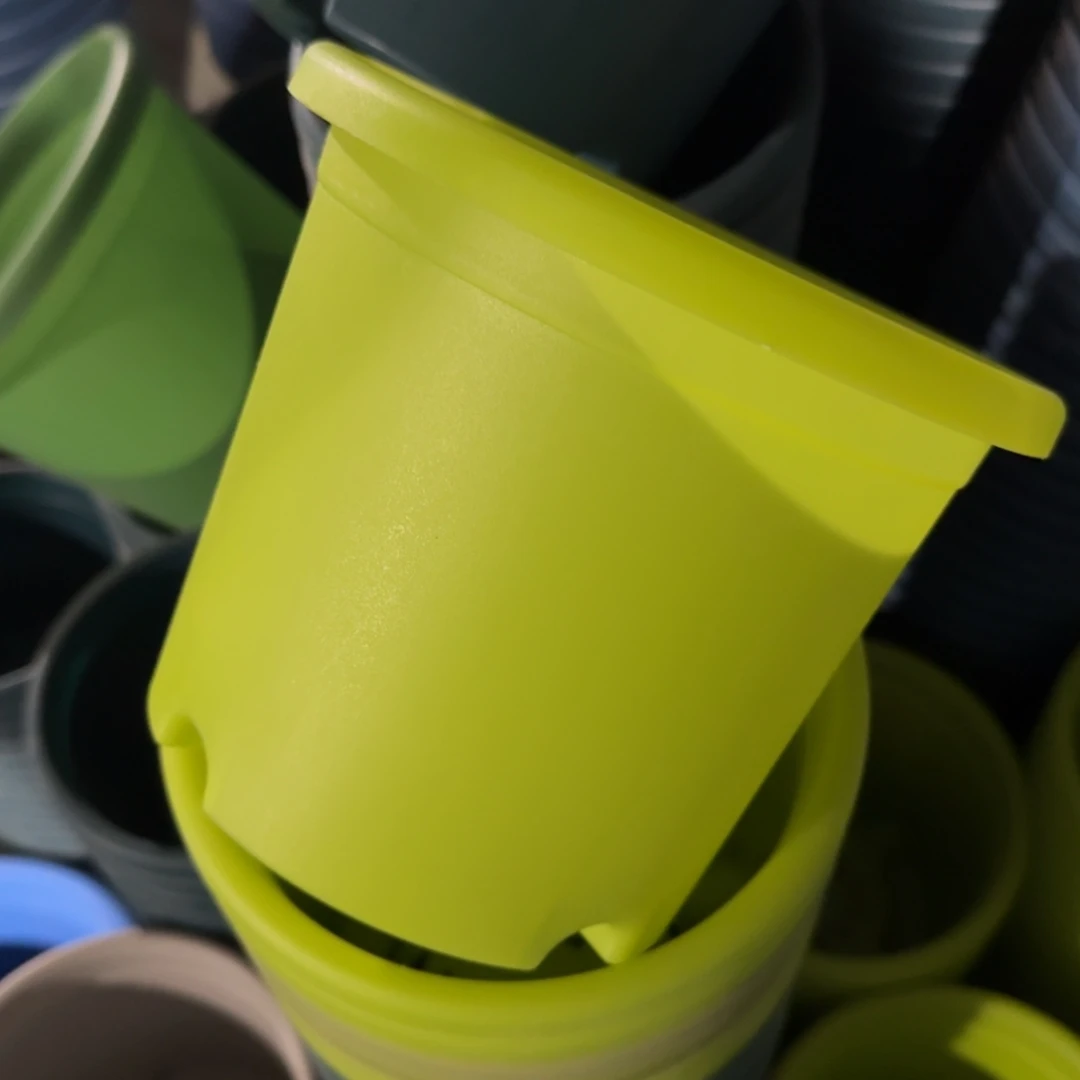 特价2号柠檬黄105个➕2号灰白105个