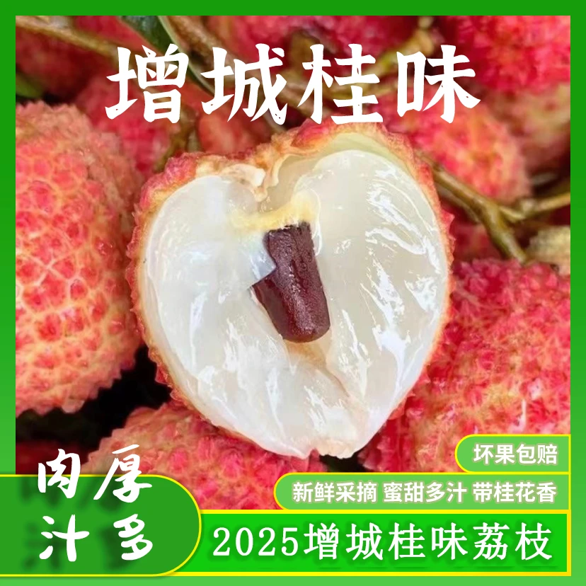 广东省内【京空运/冷链】正宗增城桂味荔枝清甜多汁5/10斤礼盒装