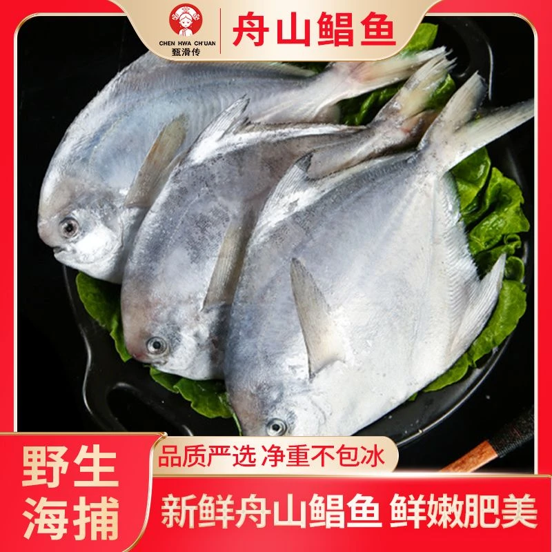 舟山原条新鲜肥美鲳鱼速冻发货鲜美可口