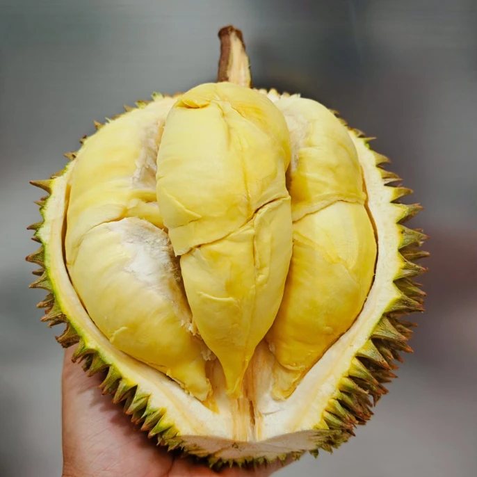 新鲜金枕榴莲，皮薄核小28/35/斤金枕泰国