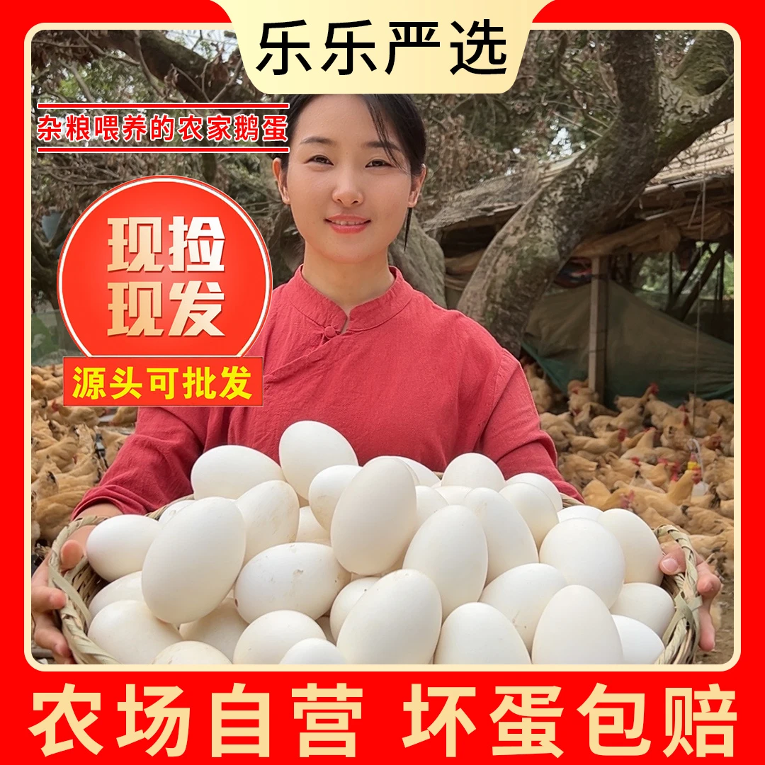 【念慈家】现捡现发新鲜散养鹅蛋一箱12枚单枚重120g左右双黄居多