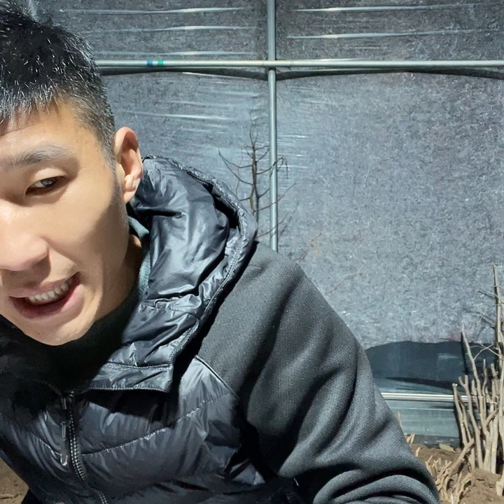 蜜罐一物一拍树枝