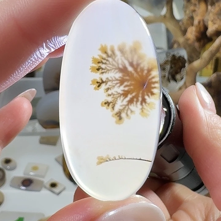 玛瑙/玉髓未镶嵌珠宝奇石