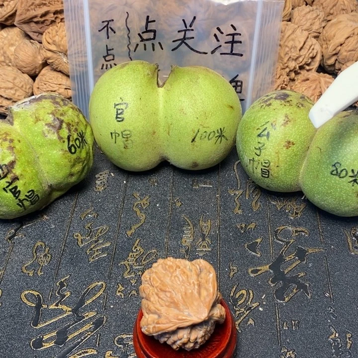 地***干文玩核桃吊坠文玩核桃异形单只