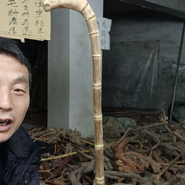 稳定木孤***龙贵州檬子木   铁马鞭   根艺  半成品