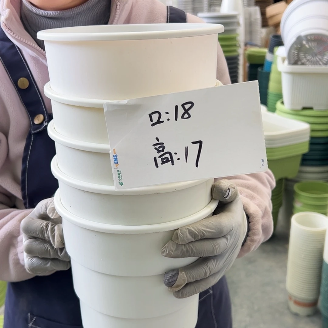 瑕疵多孔2#白色5个无托