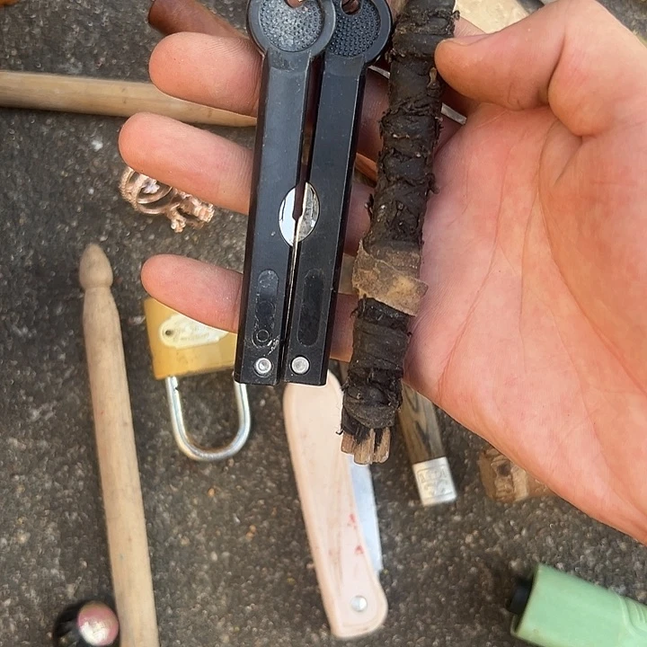 杂色豆（科檀/科特迪瓦檀木）载**福