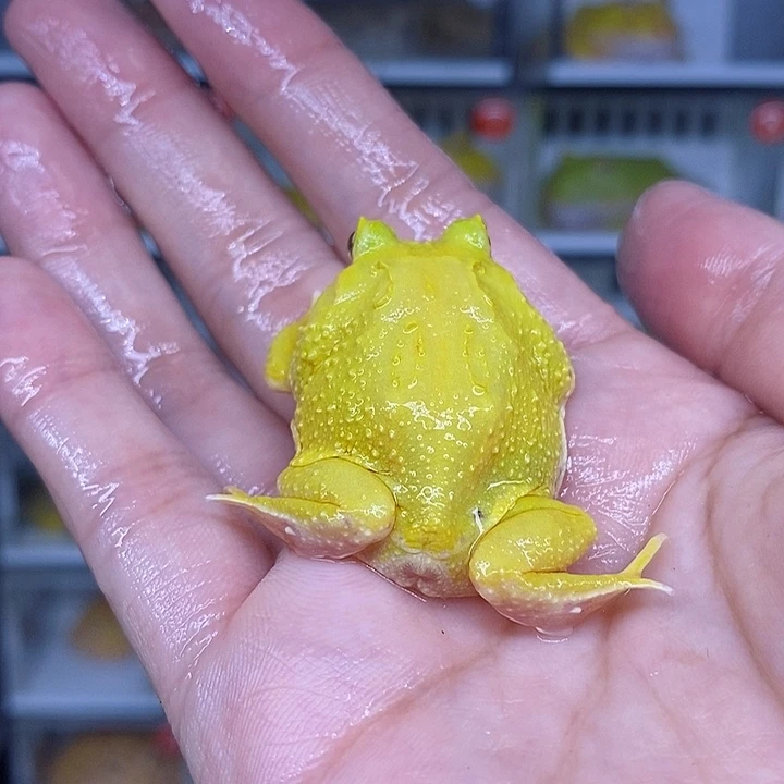 特价秒杀现货特价