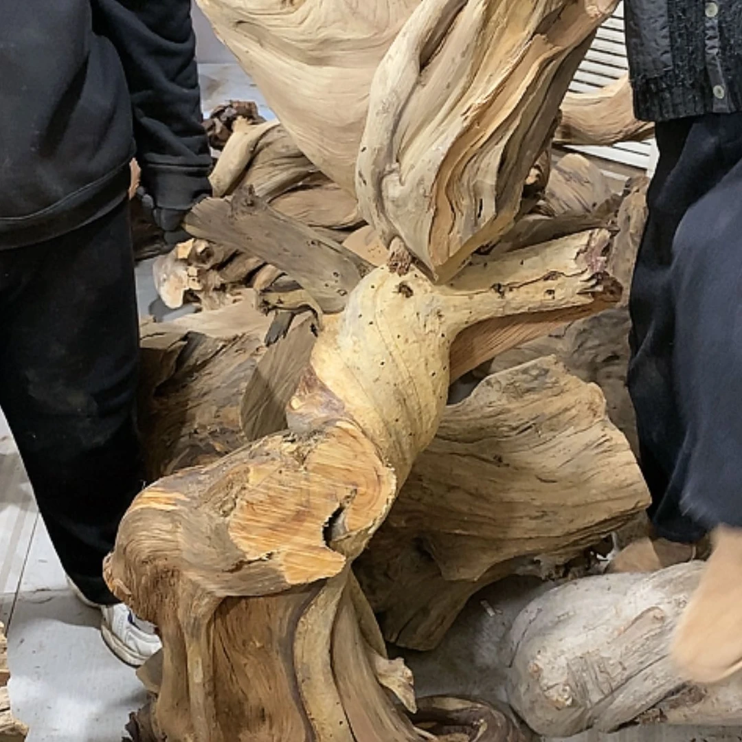 【闪购商品】柏木乐*我们都是好孩子