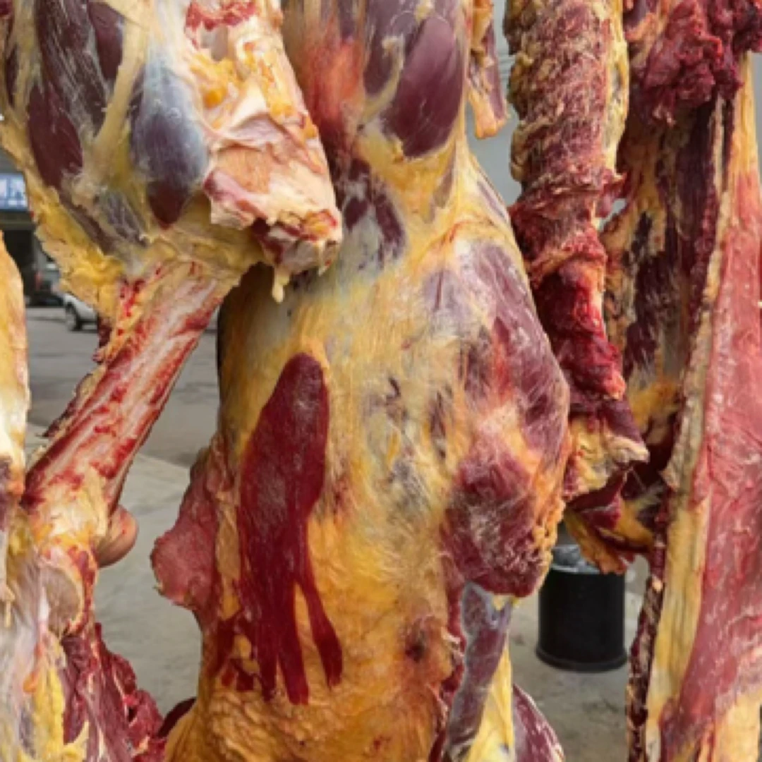 新鲜现宰黄膘牛肉生的炖肉带膘500g牛肉同城配