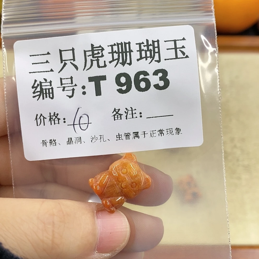 硅化珊瑚（珊瑚玉）1未镶嵌渣*