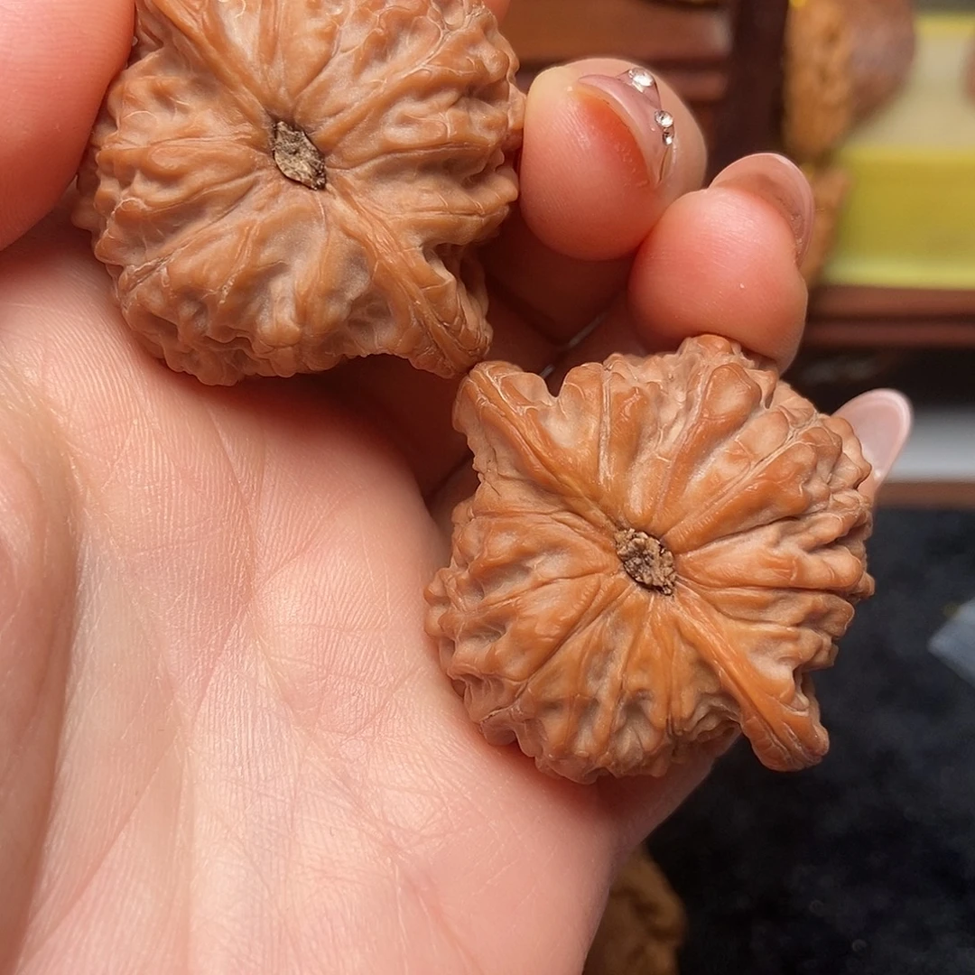 大叶紫檀（黑酸枝木类）血麒麟