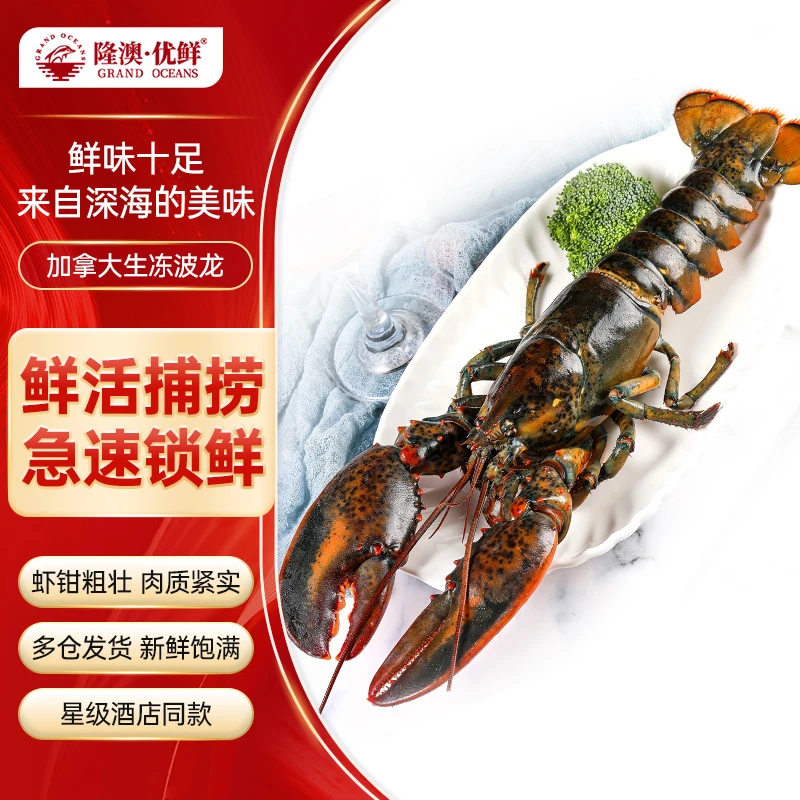 【2斤以上】隆澳优鲜 加拿大生冻波龙 DR