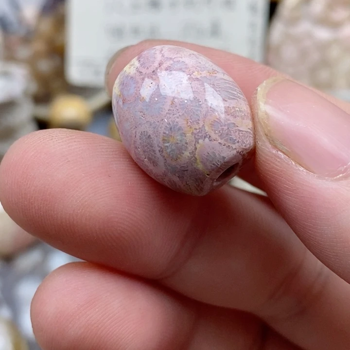 硅化珊瑚（珊瑚玉）未镶嵌颈饰青*?