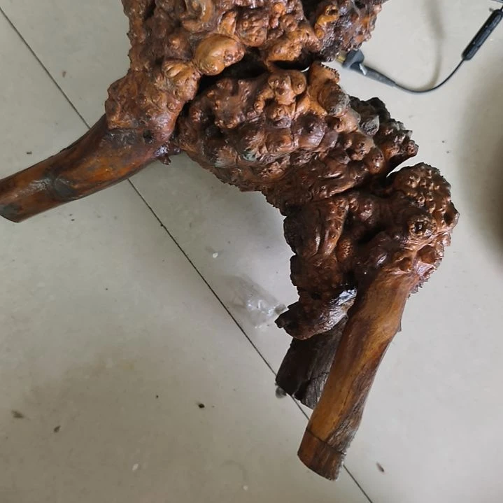 剑***衣扇子数据库图无论兔兔那么可爱