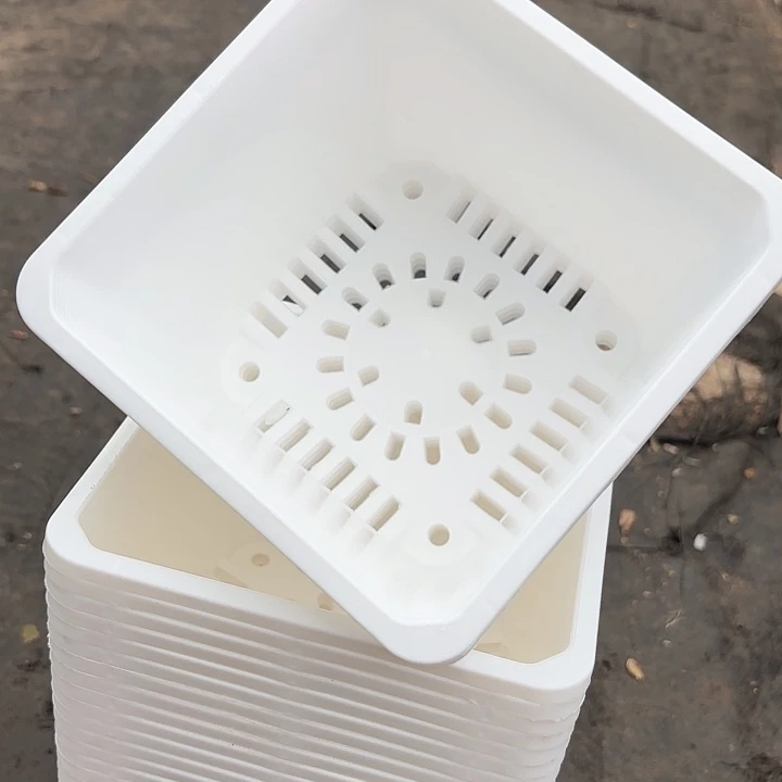 160白方盆15公分高11公分20个