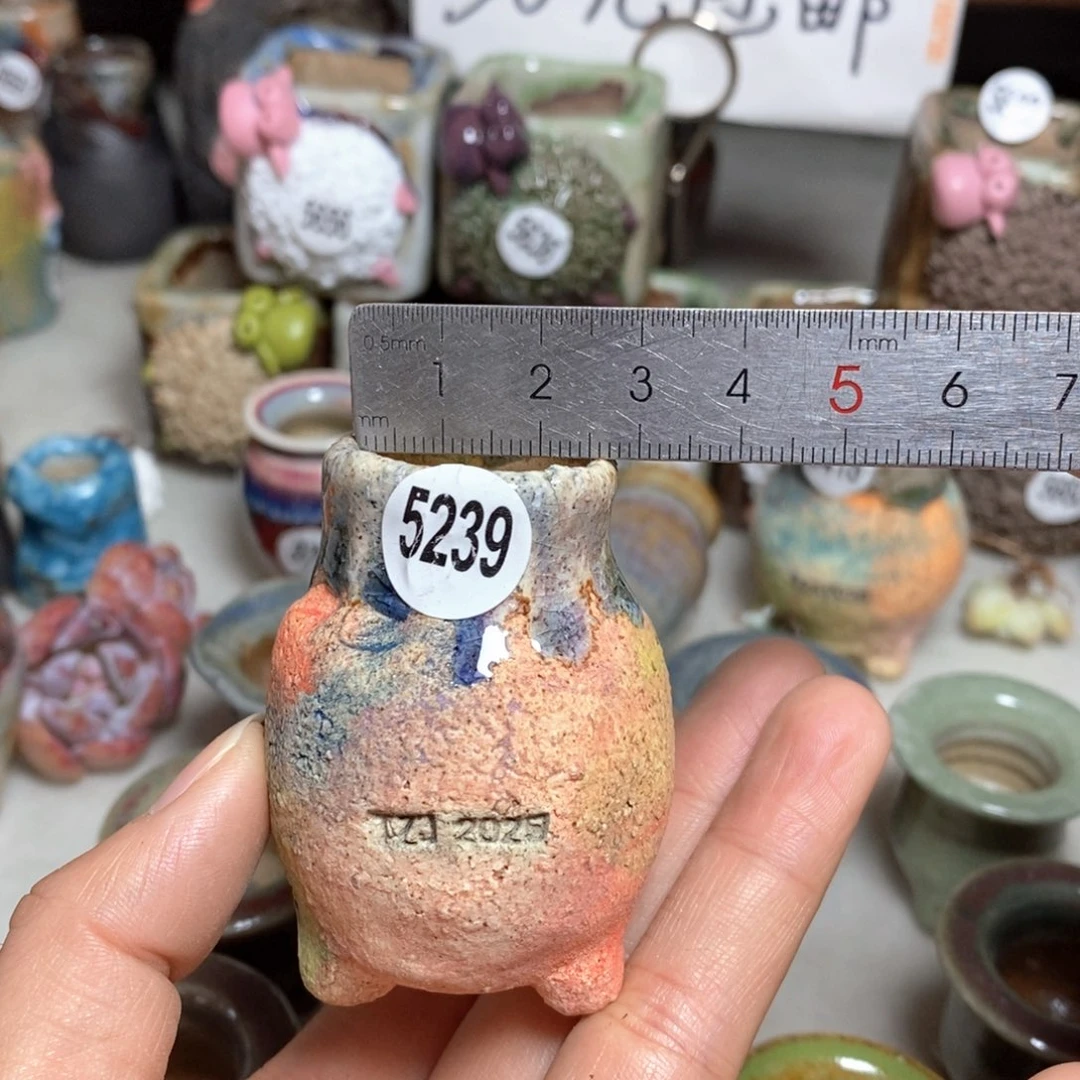 拍3送一个小礼物