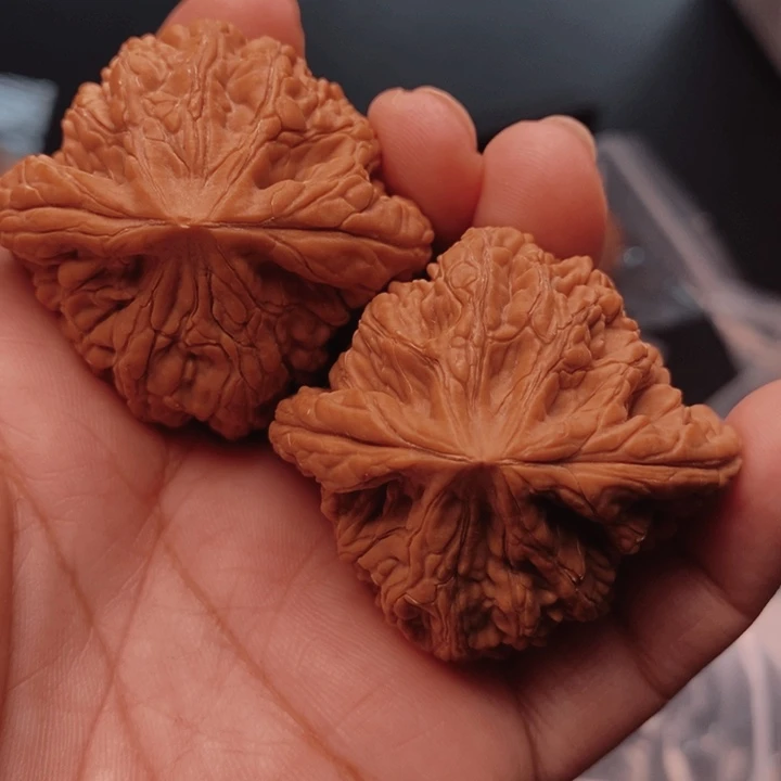 龙***神核桃虎头王45尺核桃
