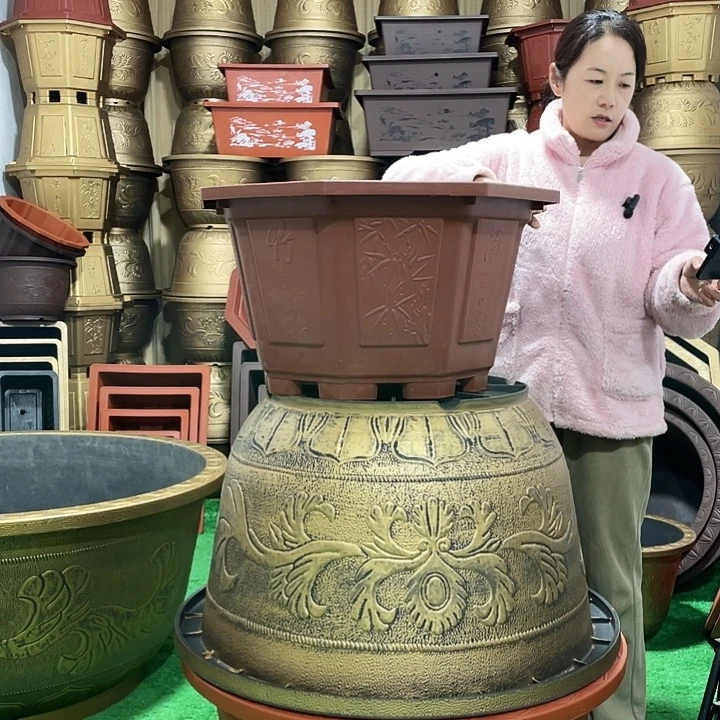 八角红色六零一个