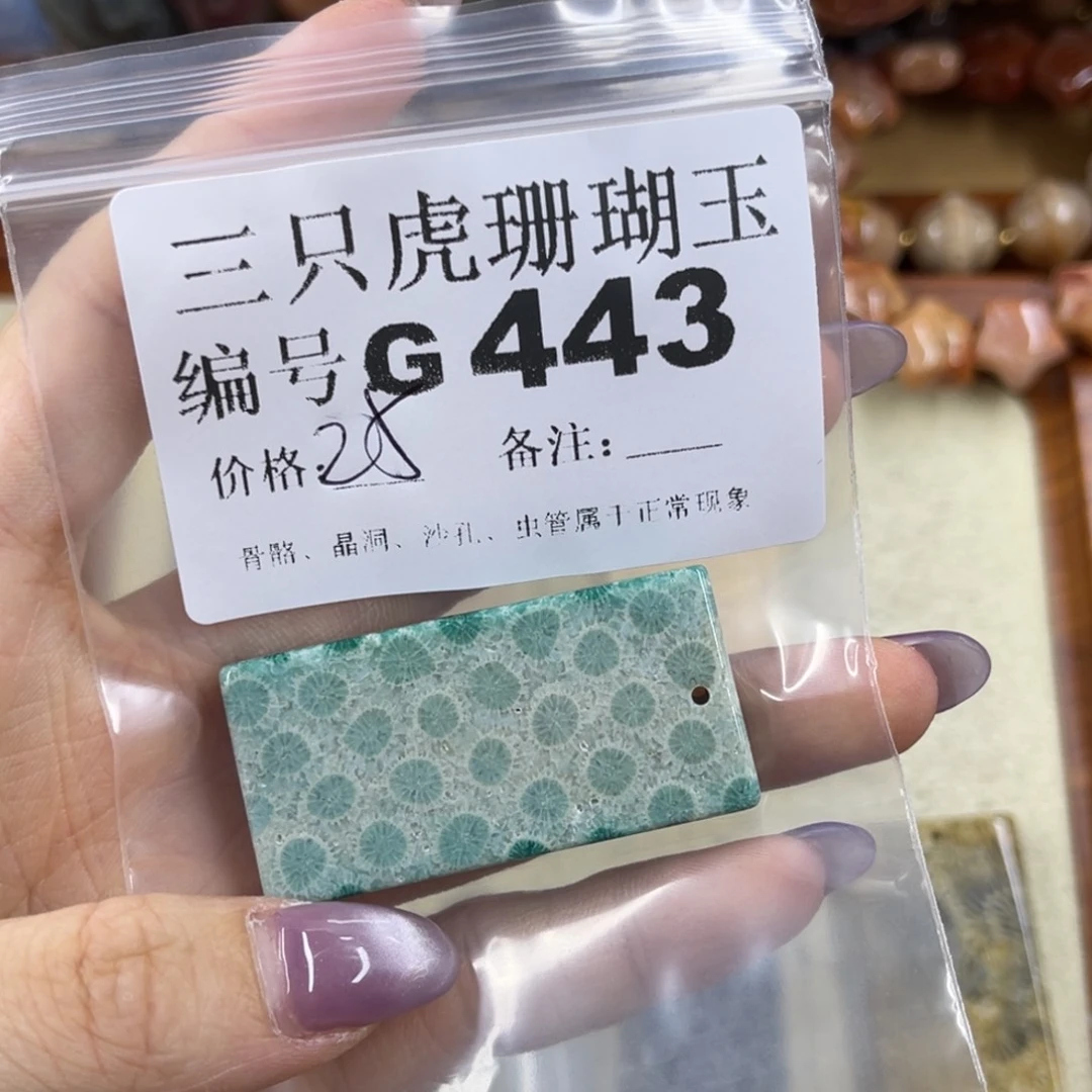 舜***鑫硅化珊瑚（珊瑚玉）未镶嵌h