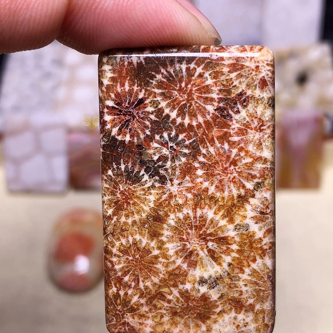 硅化玉珠宝奇石合金❄️****