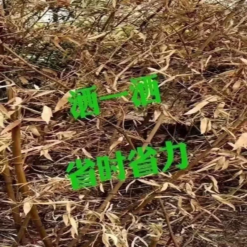 袋装厂家新配方四季通用颗粒肥配方撒撒即可树草肥