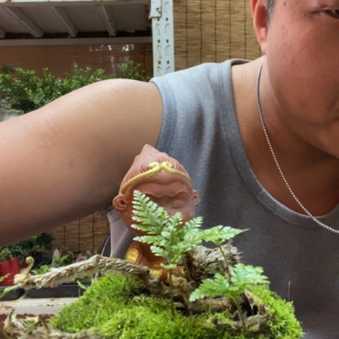 红陶一物一拍所见即所得56