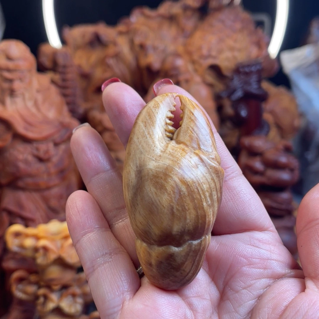 松木（琥珀木）其他蟹钳