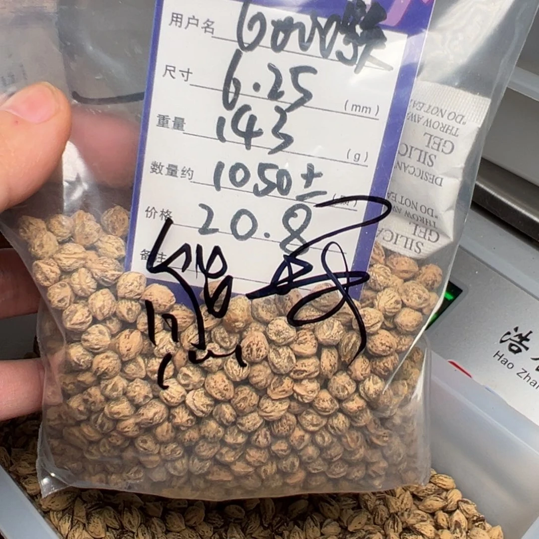 柏香籽/百香籽吊坠小***的