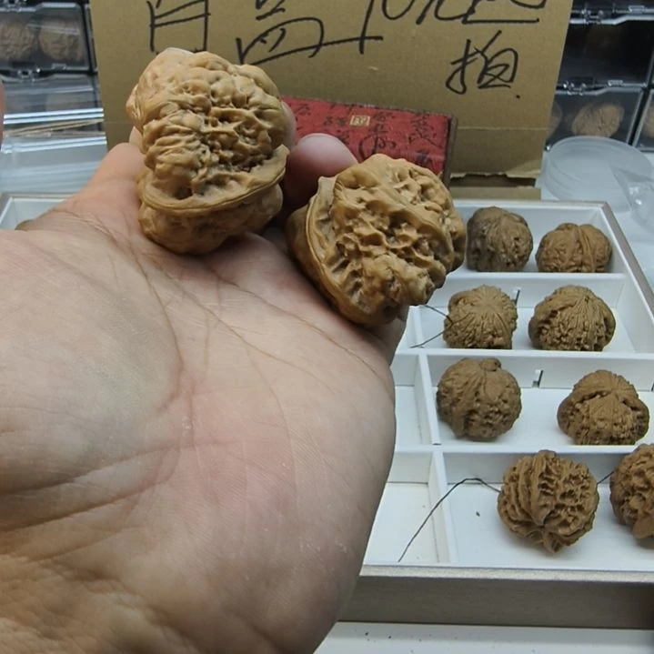哈哈哈哈哈哈她江湖救急