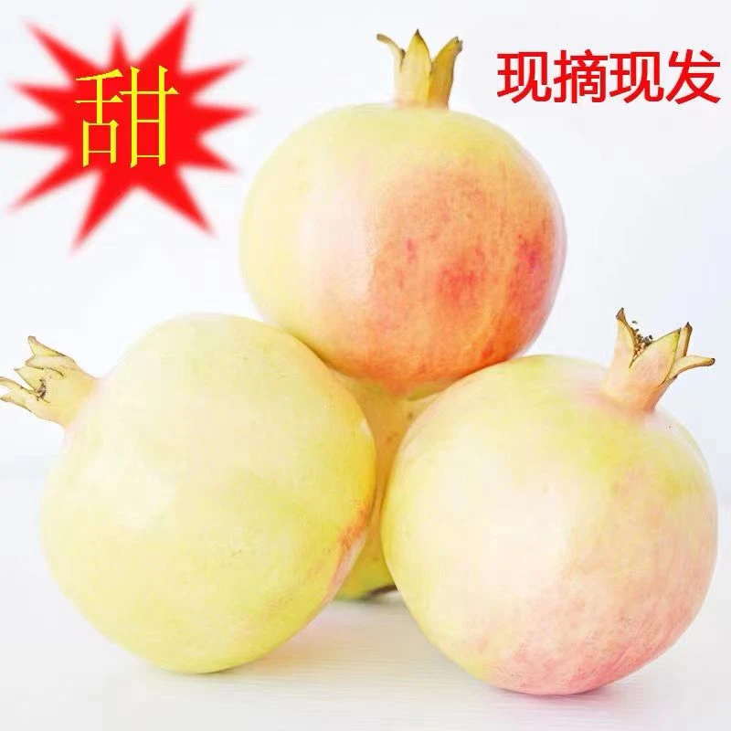 云南蒙自老树绿籽薄皮石榴装新鲜水果产地直发果园非软籽石榴婆婆