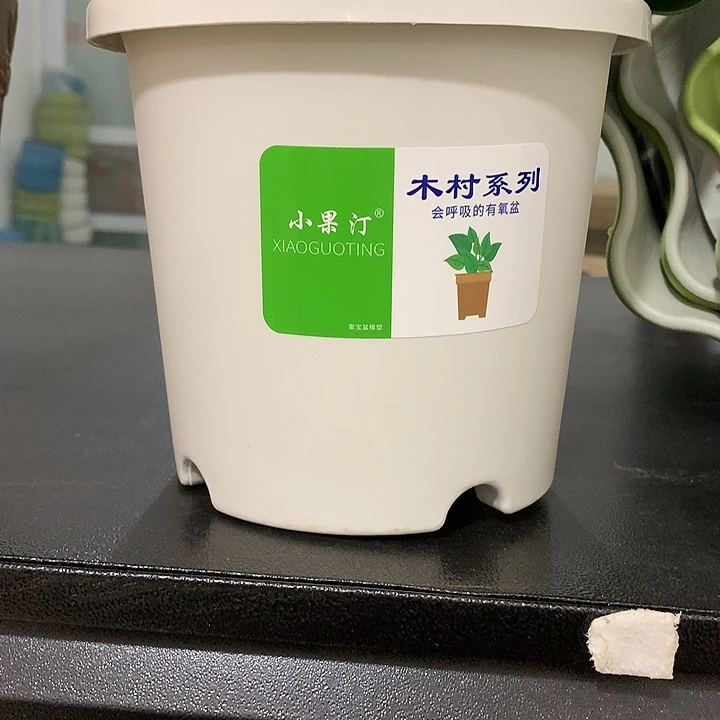 小果汀15口白10个无托